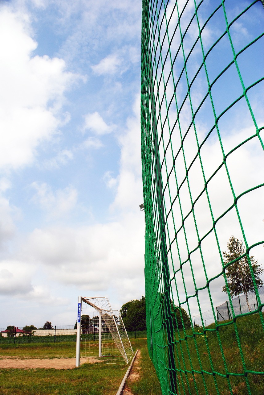 成为许多中 成为许多中