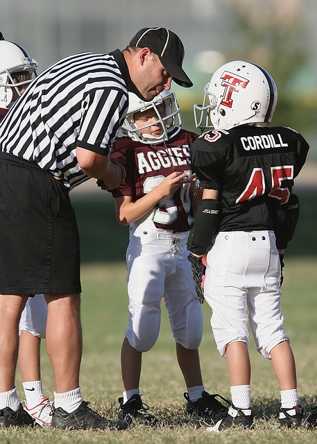 尖骑手和马 尖骑手和马