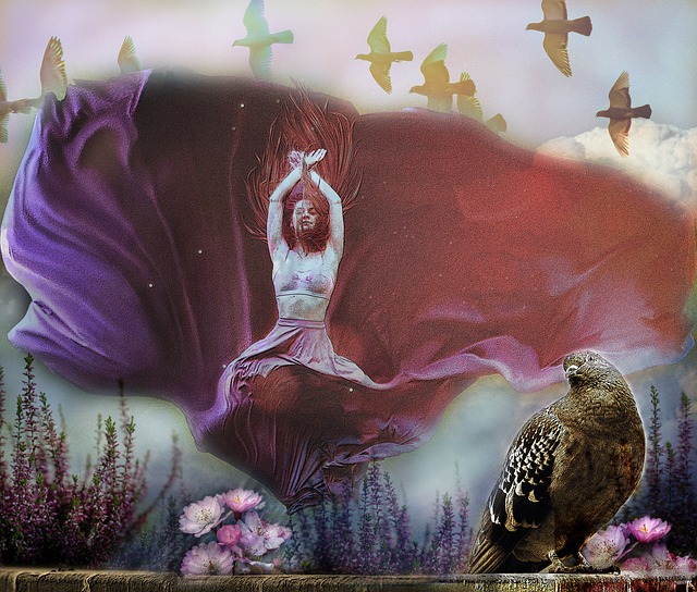 新的途径 新的途径