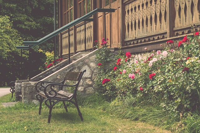 尊重裁判 尊重裁判