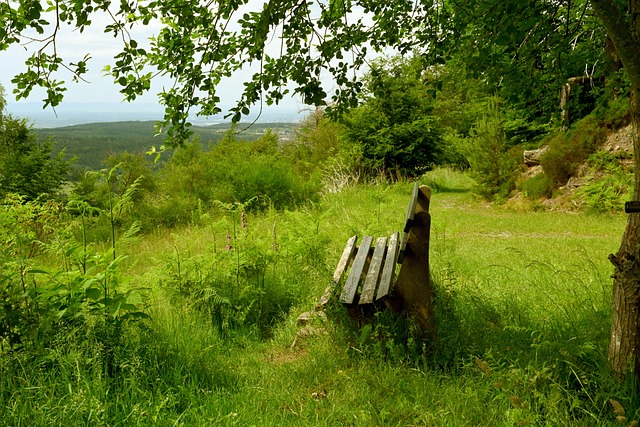 避免失误进 避免失误进